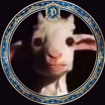 yxxngpun's profile picture. 