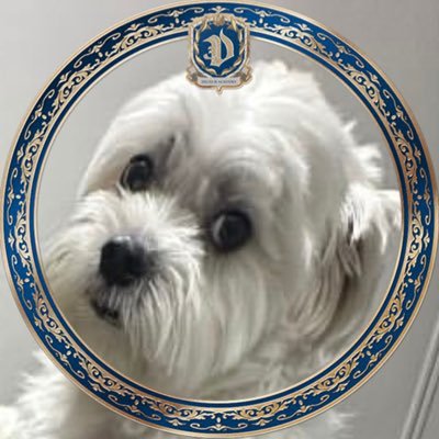 amanhj10's profile picture. 이 여자는 하루종일 게이 얘기만 합니다