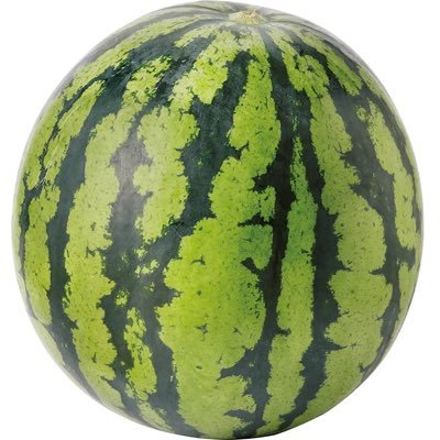 JVMsDRdbJm10184's profile picture. 