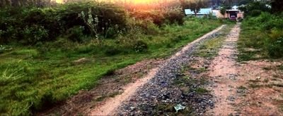 dhivyaprab34060's profile picture. 