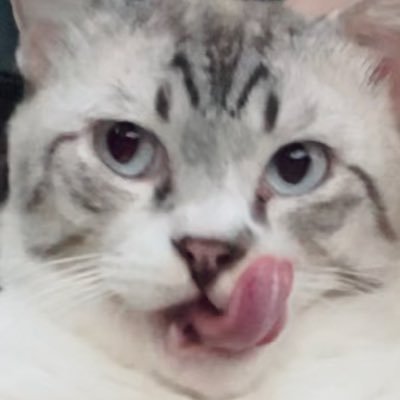 mmnpung's profile picture. แอคเก่าโดนระงับ