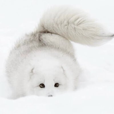 Alexandr4konia's profile picture. 