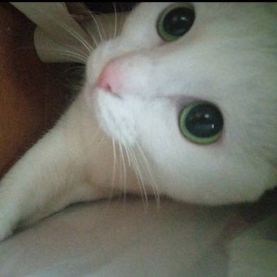 zghuhp's profile picture. 理論研究、独自理論の展開、理論の再定義 まで、一生懸命やってます！自分の力で世界に進出したい！
その為に毎日理論研究や新しいエネルギー
形態を設計したり奮闘中です！