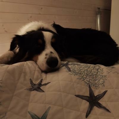 Scaraz150351's profile picture. 