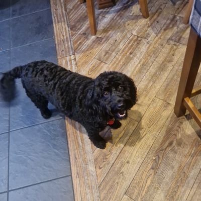 Wright_Steven's profile picture. 