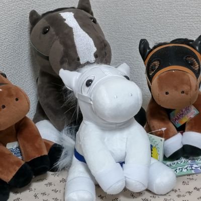 自分の好きな物に関する事を呟いて行きます。去年からＤＭＭクラブホースの馬に出資してます。