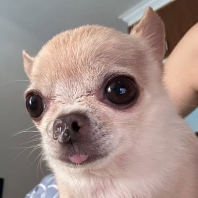 lvu17998's profile picture. ㄷㄹ