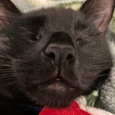 kunhdyl's profile picture. they/she/clov