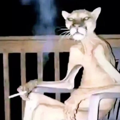 tuaholes's profile picture. wemming9 priv :3 adult moots reqs ok