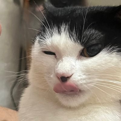 bymiemowww's profile picture. Open for cn and kr box sharing | yangdo and xianyu assistance | gcash to alipay transfer 🌹