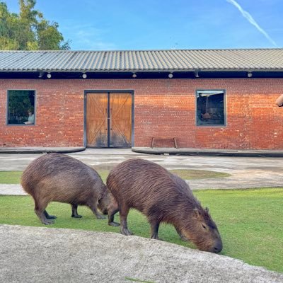 _thejanuaryrain's profile picture. still 23 inside her fantasy