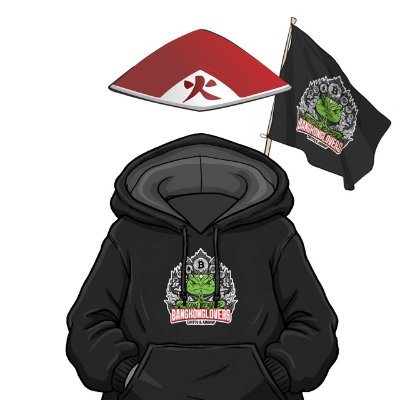 nekoskyone's profile picture. Nitrograph - Airdrop Hunter | Web3 | Yappers | Owner