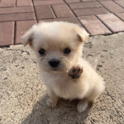 novefourteen's profile picture. 