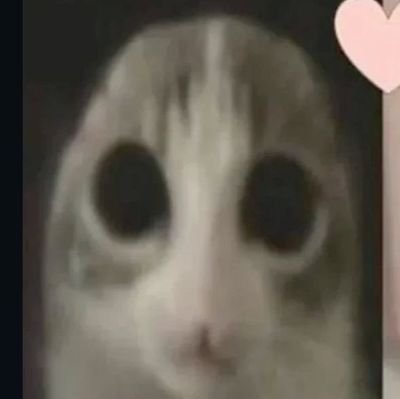 starterberriez's profile picture. hey, im berry // just a shitty multimedia artist, composer, va and rarely animator // banner by @_RatList // matching with @KirbaDirba // (male, minor, any)