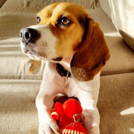 Mimi__fa's profile picture. Doc with borders 👩🏻‍⚕️🇲🇦