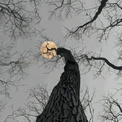 seyiclassicz1's profile picture. Meme&Relateable content//Man utd❤️