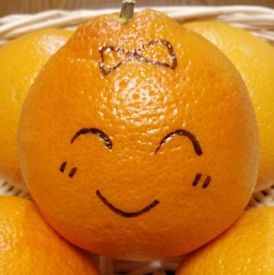 KFFrxLNZ8J30397's profile picture. 