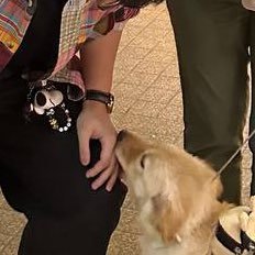 bini_kahel's profile picture. Yes, that's me and Honey last year | formerly simpingmaraiahq & simping_bini