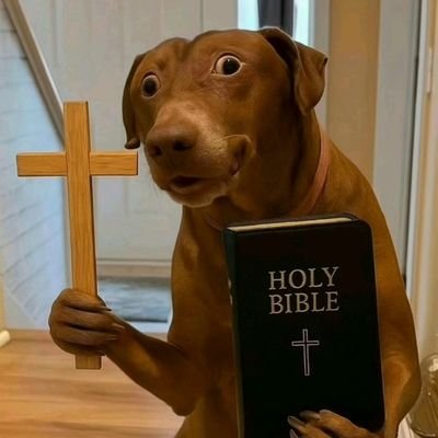 JacqueMawejje's profile picture. It is not how much we have, but how much we enjoy, that makes happiness.✌️ https://t.co/UwN2ylMYUQ