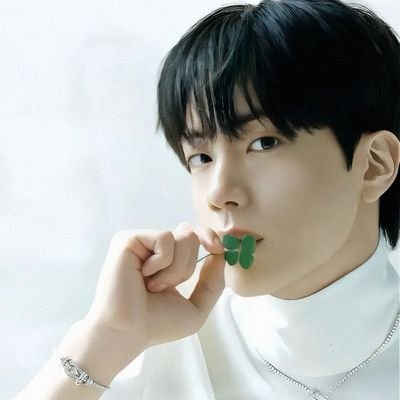 moon_ksj1coming's profile picture. BTSJIN lover and Tlefirstone lover 💚🩷