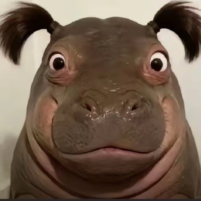 Jacquesnathali5's profile picture. 1ICP=10BTC