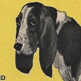 hauntinggr0unds's profile picture. nina | 20 | pl/eng
de_overpass connoisseur
burger