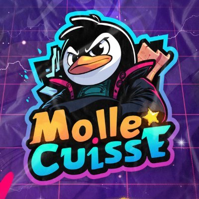 mollecuisse's profile picture. L'injustice amène la colère,  qui amène l'idéal, qui amène l'idéologie, qui amène les pires exactions et le refus du réel // Mes propos n'engagent que moi