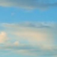 THufhines's profile picture. 