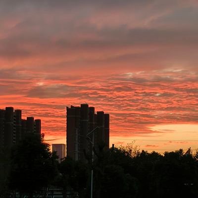 SummerXia93208's profile picture. 