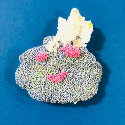 aoyorimoaoku's profile picture. ゲームをのんびり楽しんでます(о´∀`о)今は携帯ゲームのファンパレにはまりちゅう！アクションゲームはもっぱら見る専門