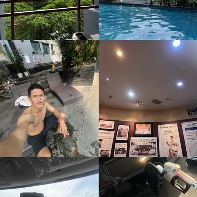 Stavejob1's profile picture. Use the arrows to rotate the animal to face in the direction of the hand.