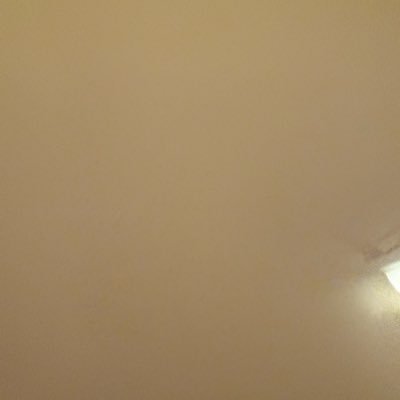 sangochudoku's profile picture. 