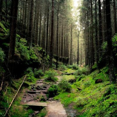 nguyenduca3410's profile picture. love