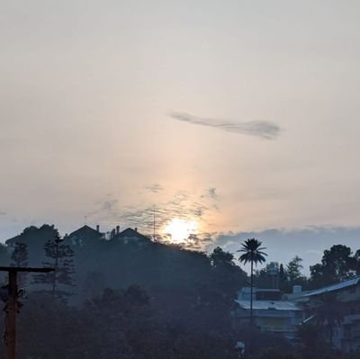 TheBoyYouHate_'s profile picture. 