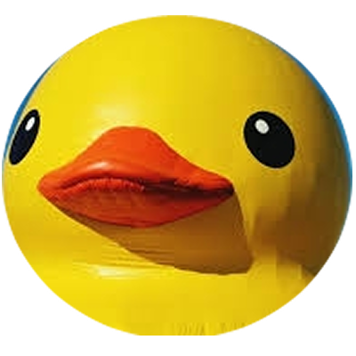 calcduc's profile picture. 