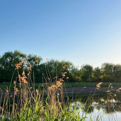 Local80743551's profile picture. あなたはオンリーワンで
ひじょう
非常
にユニークで
じんせい
人生
でナンバーワンです