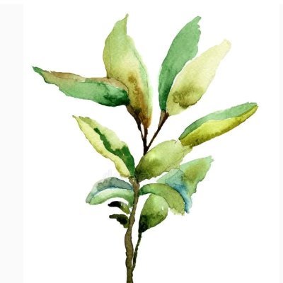 MichaelaShepard's profile picture. I once restored old paintings as a profession. Now I carouse in crypto markets, partial to @polymarket.  I am "Peggysage" there.