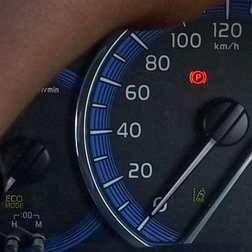 elrey_pulga10's profile picture. Everything you need to know, right here 🎯