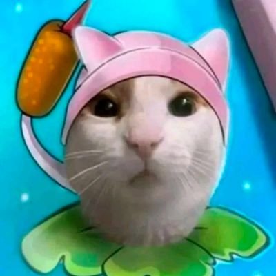 Yafima777's profile picture. 19 Años 
Trabajador 
Sincero