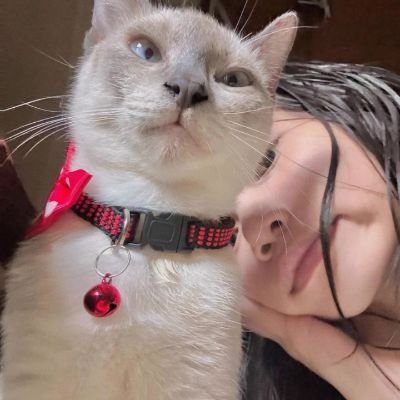 mauraneeen's profile picture. Dash