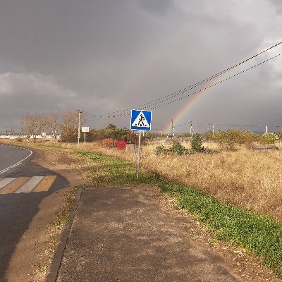 poluduroshny's profile picture. Internet entity/demon