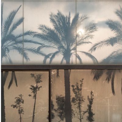 ra1Coc's profile picture. Student at @COC_QU_SA | 👩🏻‍💻