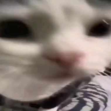 dixiidev's profile picture. AI | Robotics | Astrophysics | Indian Tech, History & Philosophy | Chess | Cricket

🇮🇳 🇷🇺 🇬🇷 🇦🇲 🇧🇹