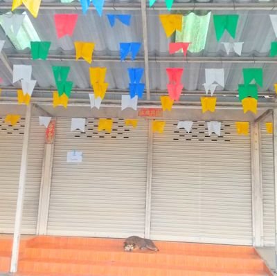 ss46722's profile picture. ラジオ・ビール・旅行・温泉
すどうしほ行政書士事務所