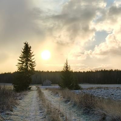 Vive20172's profile picture. Being myself