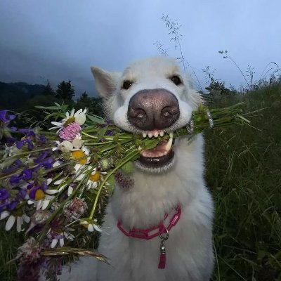 Artem85696194's profile picture. I love living this life