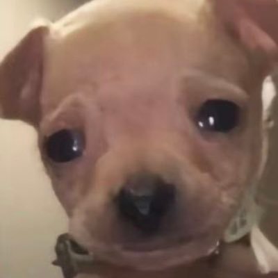 under_the_n2's profile picture. 계정당햇더여…팔받아줘여…/나를두번죽이지마라