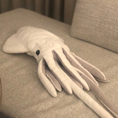 tomokoaloha's profile picture. My major:current affairs english/tesl yl/pc:travel agent&university staff/now nonprofessional-photographer&video creator&makeup&hairdo&stylist/hula instructor