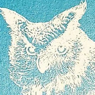 tamura_rasa's profile picture. 