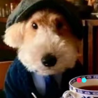 quirkchungis's profile picture. Born again Cajun